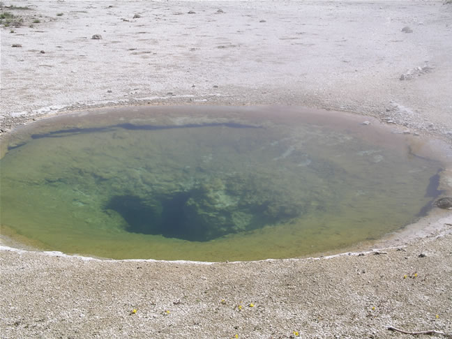 images/F- West Thumb Geyser Basin (5).jpg